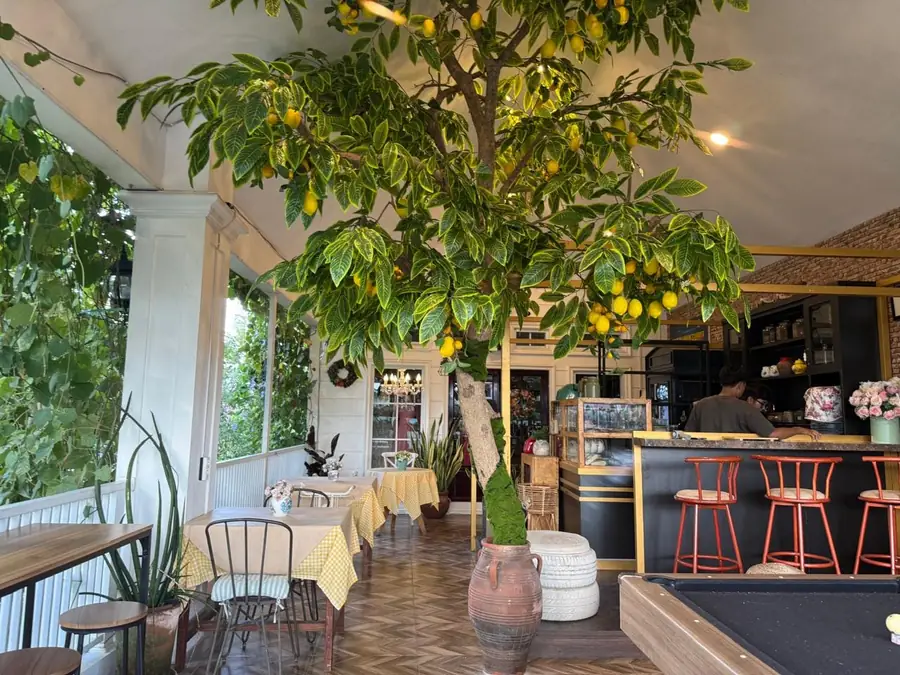 Ruang kafe dengan pohon lemon hias, meja bar, dan meja biliar